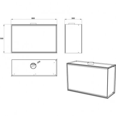 BIOHEAT CORNER 800 R bioethanol built-in fireplace 5