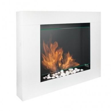 BIOHEAT ASNE free standing bioethanol fireplace 1