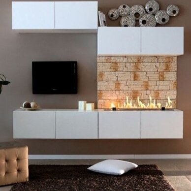 bioKamino BR1200R bioethanol fireplace insert 1