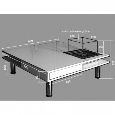 KAMI HEKLA free standing biofireplace 3