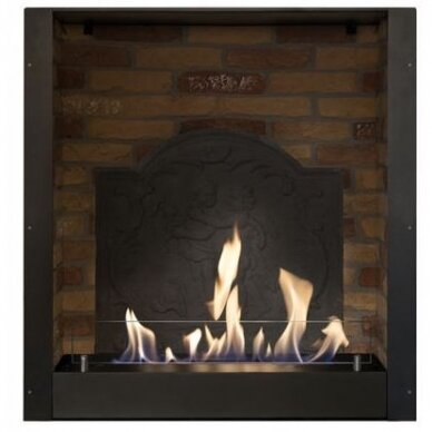 RUBY FIRES BUILT-IN UNIT L MEDALLION bioethanol fireplace insert