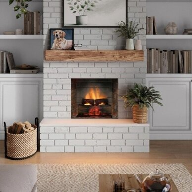 TAGU PowerFlame 2 electric fireplace insert 4