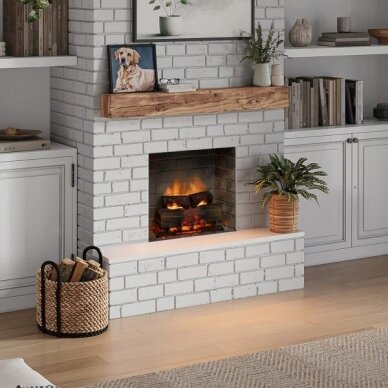 TAGU PowerFlame 2 electric fireplace insert 2