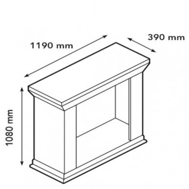 XARALYN KOS BUILT-IN F02 brīvi stavošs biokamīns 1