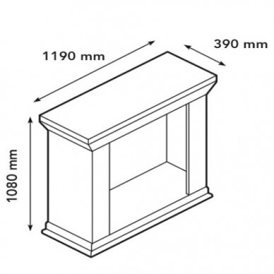 XARALYN KOS BUILT-IN F03 brīvi stavošs biokamīns 1