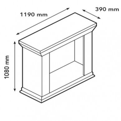 XARALYN CADIZ BUILT-IN MEDALLION F02 brīvi stavošs biokamīns (Kopija) 1