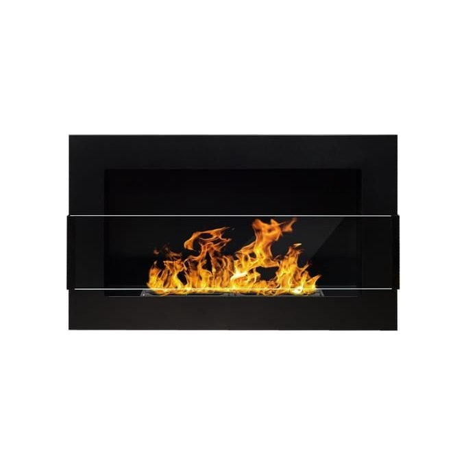 BIOHEAT 650x400 TUV GLASS biožidinys įmontuojamas - pakabinamas su stiklu