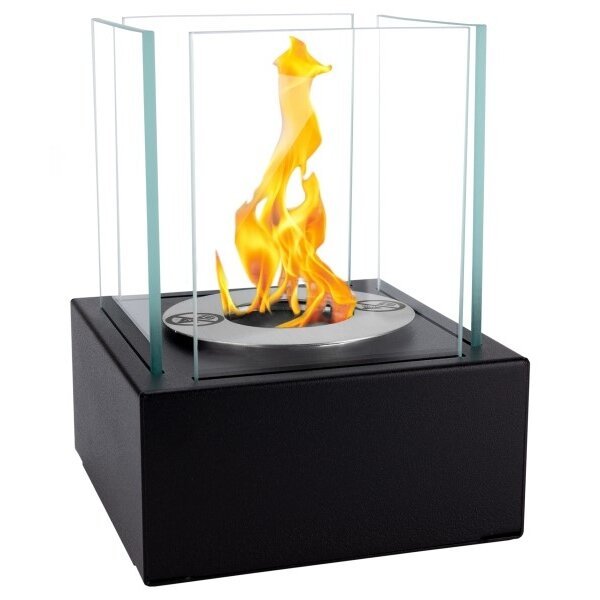 BIOHEAT SMART pastatomas biožidinys